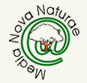 logo_medianova - 200966.1 logo_medianova - 200966.1